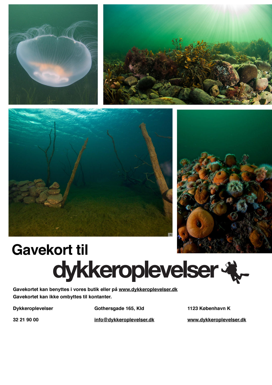 Gavekort-Dykkeroplevelser